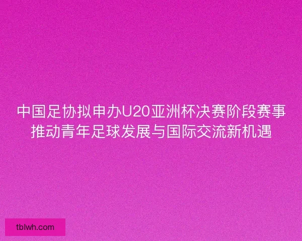 中国足协拟申办U20亚洲杯决赛阶段赛事推动青年足球发展与国际交流新机遇
